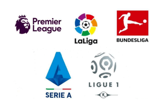 组合均表现 组合均表现